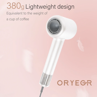 1Set High-Powered Brushless Hair Dryer with Diffuser (Dark Gray) - 110000 RPM Motor, Ionized, Ultra-Quiet, Lightweight, Smart Temperature Control, Smooth Fast Drying for Curly & All Hair Types, Brushless Hair Dryers